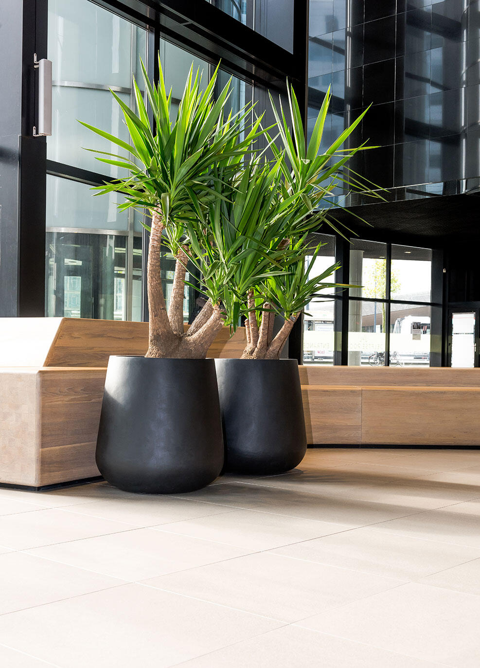 Pflanzen Grosshaendler Deutschland Berlin Potsdam Pflanzen Grossabnehmer Berlin Deutschland Potsdam