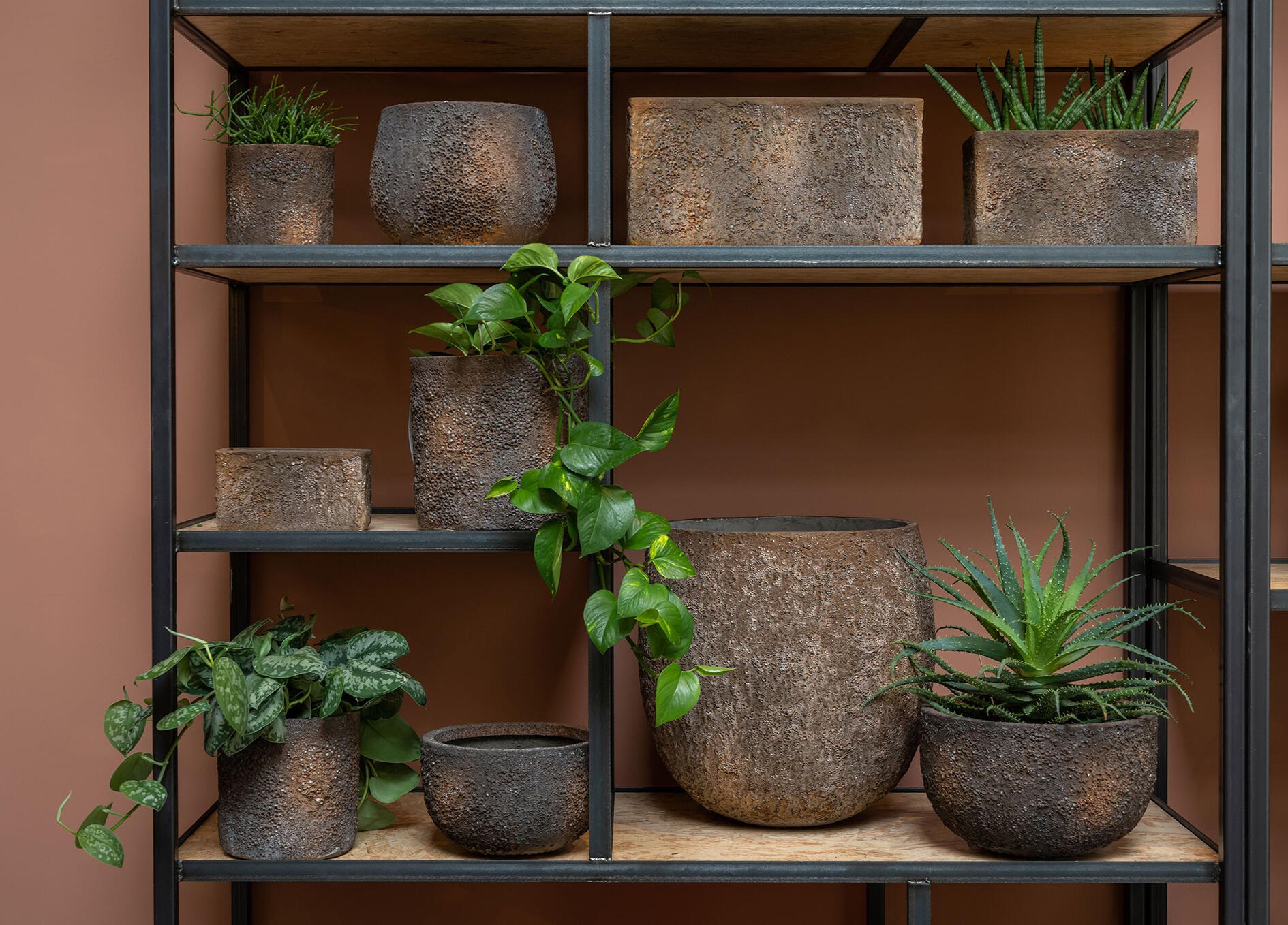 Pflanzen Komplettloesung Deutschland Potsdam Berlin Pflanzen Projekt Planung Deutschland Potsdam Berlin