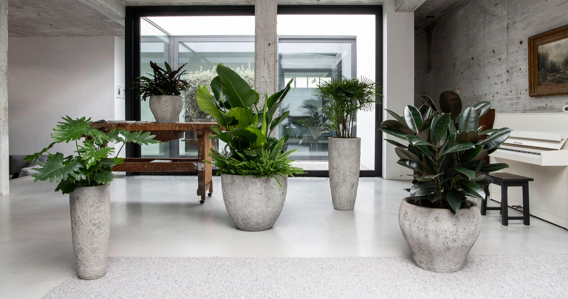 Mietpflanzen in Berlin und Potsdam Nachhaltige Hydrokulturpflanzen kaufen